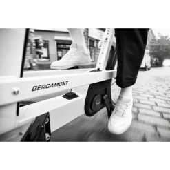 Bergamont E-CARGOVILLE LJ EXPERT - Cargo E-Bike - 2022 - Bamboo -Cycle Parts Shop bergamont e cargoville lj 01 1106469 1