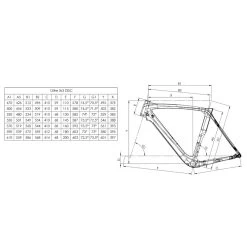 Bianchi OLTRE XR3 Disc - Chorus - Carbon Roadbike - 2023 - Graphite / Grey Shade / Metall Mirror -Cycle Parts Shop geo oltre xr3 disc 1343381