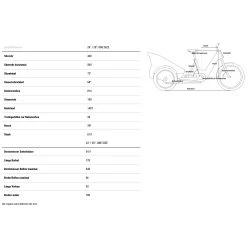 Cycle Parts Shop -Cycle Parts Shop geo trike family hybrid 1493391